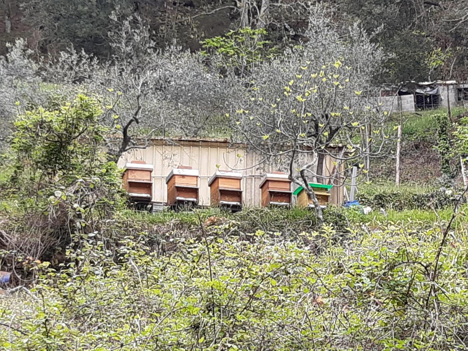 La Valle Fiorita Soviore Dış mekan fotoğraf